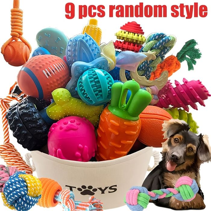 Teething and Dental Chew Toy Set for Puppies