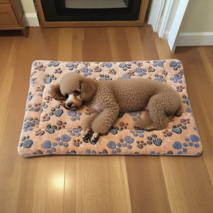 Double-Sided Flannel Pet Bed for Small Dogs